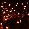 Neon-night Гирлянда Нить 10 м, постоянное свечение, 24В 305-142