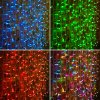 Neon-night Гирлянда Светодиодный Дождь, 2х3 м, 230В 245-319