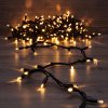 Neon-night Гирлянда модульная «Дюраплей LED» 10 м, 200 LED, 315-196