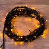 Neon-night Гирлянда 10 м, 100 диодов 303-151