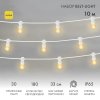 Neon-night Готовый набор: Гирлянда Belt Light 25 ламп, 10 м 331-301