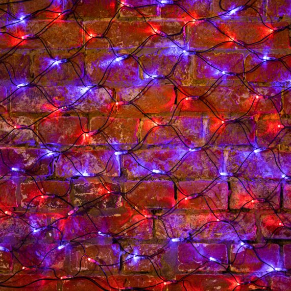 Фотография товара 'Neon-night Гирлянда-сеть светодиодная 2х0,7 м, свечение с динамикой 215-013'
