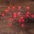 Фотография товара 'Neon-night Гирлянда светодиодная Звездочки 20 LED 2,8 м 303-034'