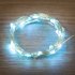 Фотография товара 'Neon-night Гирлянда светодиодная Роса, 2 м, 20 диодов 303-003'