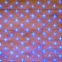 Фотография товара 'Neon-night Гирлянда Сеть 1,5х1,5 м, 150 LED 215-123'
